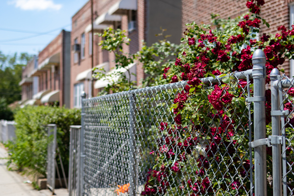 fencing chain link image