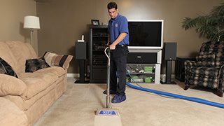 Carpet Cleaning