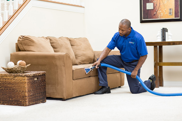 Upholstery and Furniture Cleaning Services