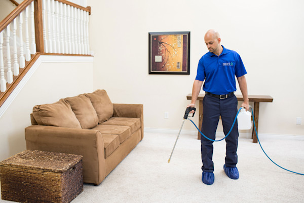 Carpet and Duct Cleaning