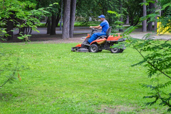 Lawn & Garden Maintenance